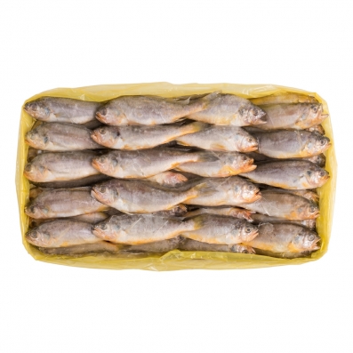 냉동 조기 52미 3.3kg 내외