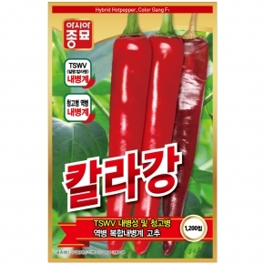 아시아종묘 고추씨앗 칼라강1200립