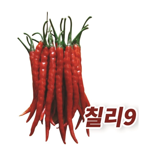 고추씨앗종자 칠리9(10g)