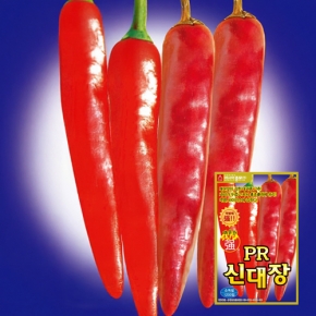 고추씨앗종자 PR신대장(1,200립)