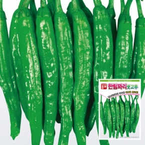 아시아종묘 고추씨앗종자 한림꽈리풋고추(30립,700립,1200립)
