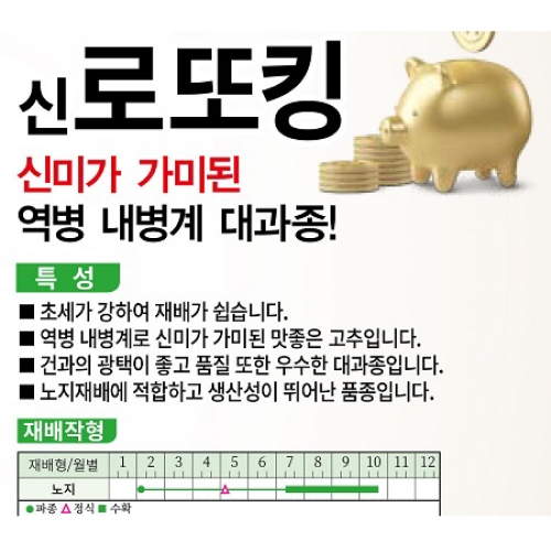 고추씨앗종자 신로또킹(1200립)