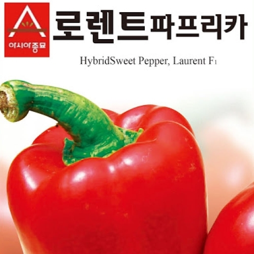 아시아종묘 파프리카씨앗종자 로렌트(레드) 파프리카레드 고급종(10립,10립X3,100립)