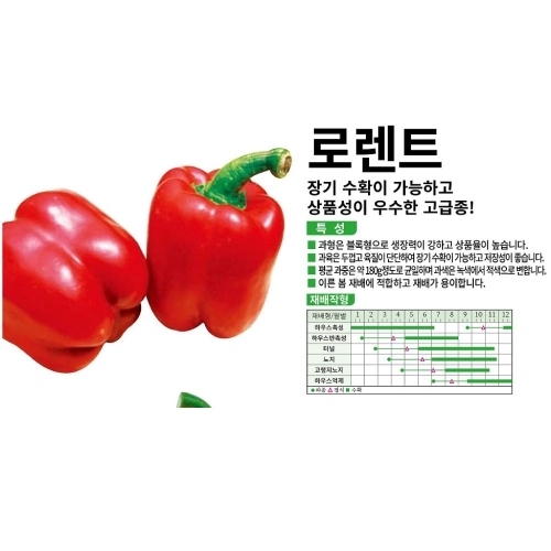 아시아종묘 파프리카씨앗종자 로렌트(레드) 파프리카레드 고급종(10립,10립X3,100립)