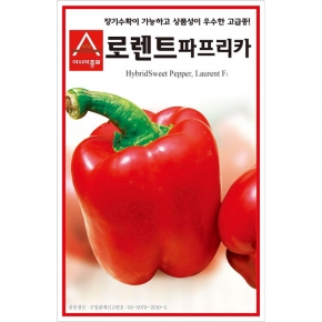 아시아종묘 파프리카씨앗종자 로렌트(레드) 파프리카레드 고급종(10립,10립X3,100립)