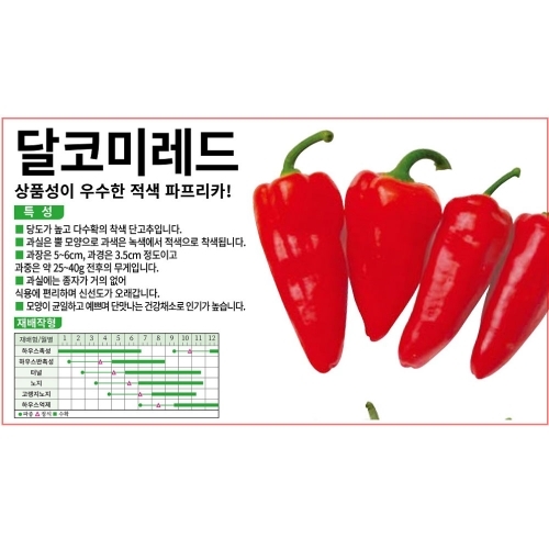 (파프리카씨앗종자) 달코미레드 파프리카(10립,100립,1000립)