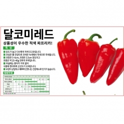 (파프리카씨앗종자) 달코미레드 파프리카(10립,100립,1000립)