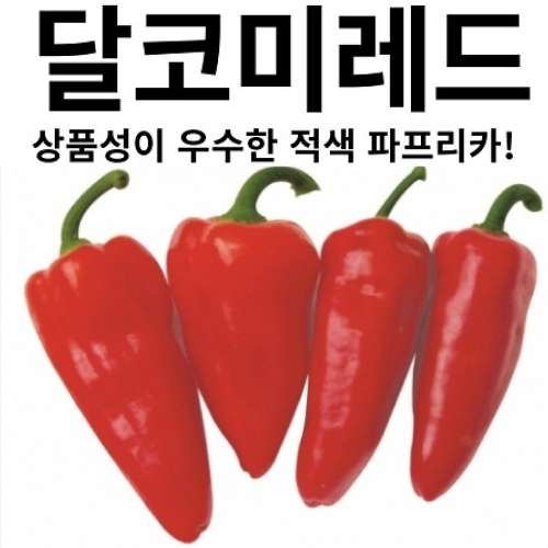 (파프리카씨앗종자) 달코미레드 파프리카(10립,100립,1000립)