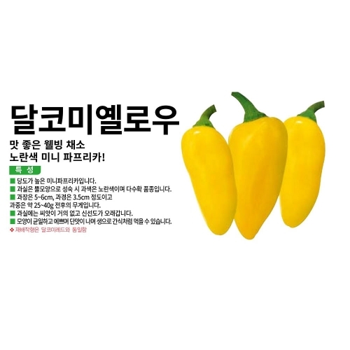 (파프리카씨앗종자) 달코미옐로우 파프리카(10립,100립,1000립)