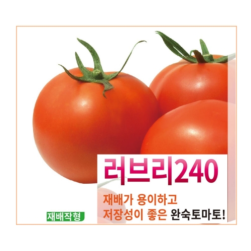 (토마토씨앗종자) 러브리240 토마토(1000립)