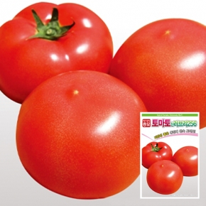 토마토씨앗종자 신러브리256(20립,20립x3,1000립)