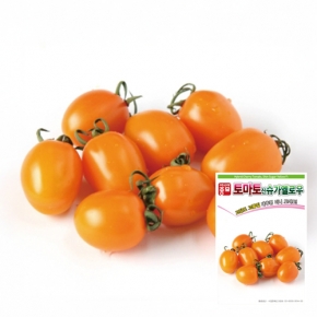 아시아종묘 방울토마토종자 신슈가옐로우(20립/1000립)