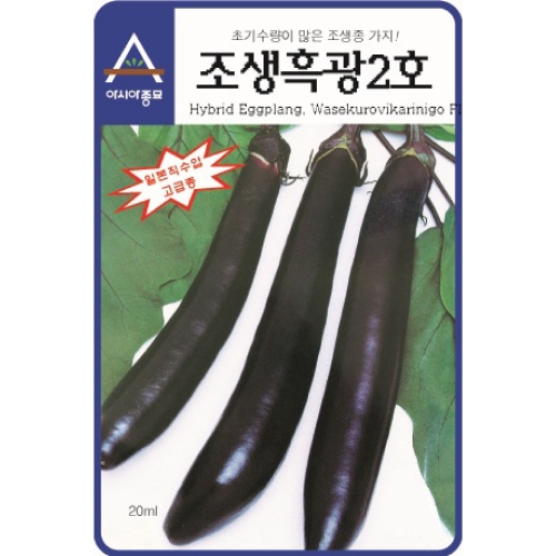 (가지씨앗종자) 조생흑광2호 가지(10g)