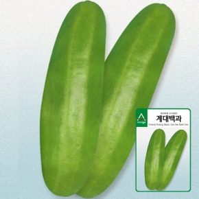 아시아종묘 참외씨앗종자 계대백과(40립,40립x3,400립) 울외