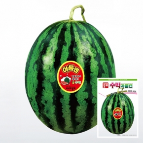 (아시아종묘/수박씨앗종자) 여름엔수박(200립)