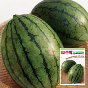 아시아종묘 수박씨앗종자 뉴꼬꼬마수박(100립)