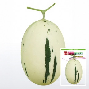 아시아종묘 멜론씨앗종자 실버스타(100립)
