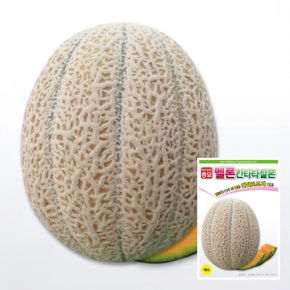 아시아종묘 멜론씨앗종자 칸타타살몬(10립)