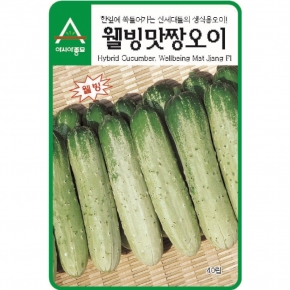 (오이씨앗종자) 웰빙맛짱 오이 (40립,40립x3,500립) 노각오이