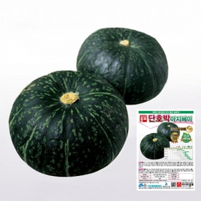 (아시아종묘/단호박씨앗종자) 아지헤이(400립,2000립)