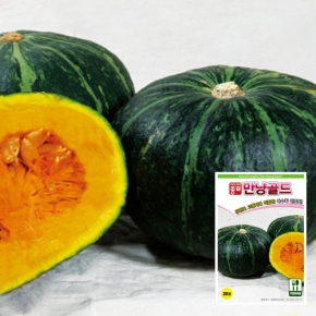 아시아종묘 단호박씨앗종자 만냥골드(20립)