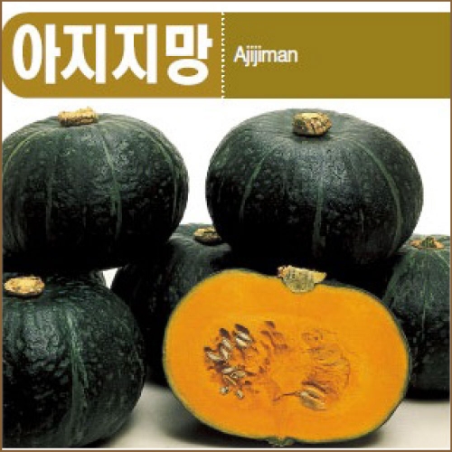 (아시아종묘/단호박씨앗종자) 아지지망(400립,2000립)