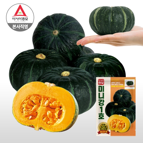 아시아종묘 미니단호박씨앗종자 미니강1호(10립,10립x3,100립,1000립)