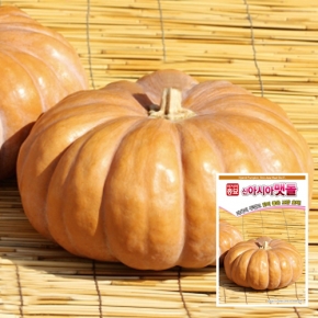 아시아종묘 호박씨앗종자 신아시아맷돌호박 (25립,25립x3개,500립,2500립)