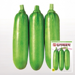 아시아종묘 호박씨앗종자 킹카애호박(30립,700립,4000립)