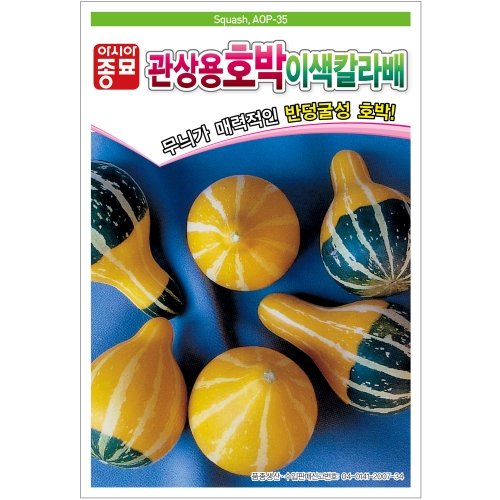 아시아종묘 관상용호박씨앗종자 이색칼라배 호박(10립,10립x3,100립)