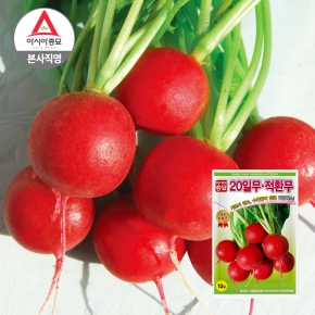 아시아종묘 무씨앗 20일무 적환무 방울무(12g)