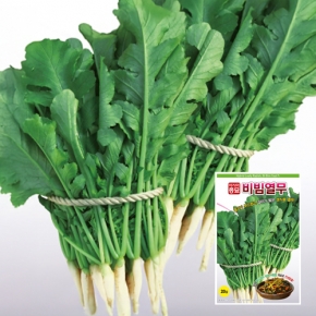 아시아종묘 열무씨앗종자 비빔열무(20g)