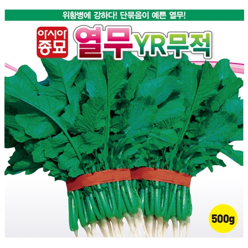 (아시아종묘/열무씨앗종자) YR무적열무(500g)