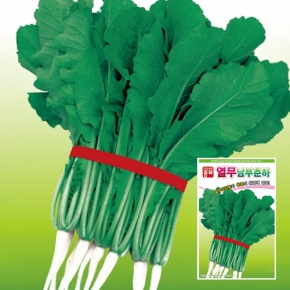 아시아종묘 열무씨앗종자 남부춘하열무(20g,20gx3,500g)