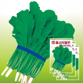 아시아종묘 열무씨앗종자 톱스타열무(20g,20gx3,500g)