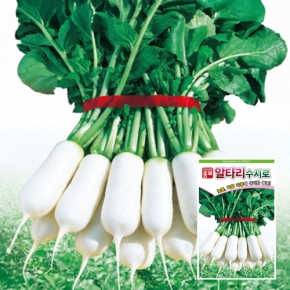 아시아종묘 무씨앗종자 수시로알타리(20g)