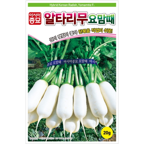 (아시아종묘/무씨앗종자) 요맘때 알타리(20g,500g)