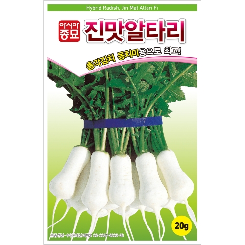 (아시아종묘/무씨앗종자) 진맛알타리(20g,500g) 총각김치 동치미무