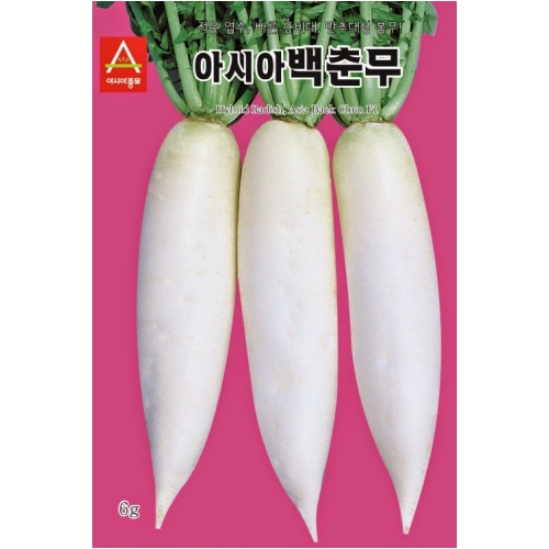 (아시아종묘/무씨앗종자) 백춘무(6g,6gx3,120g)