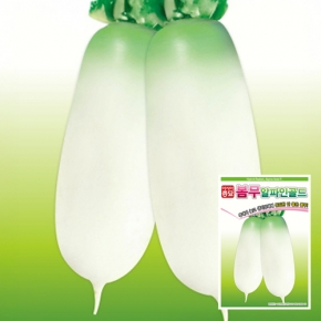 (아시아종묘/무씨앗종자) 알파인골드 무(6g,120g)