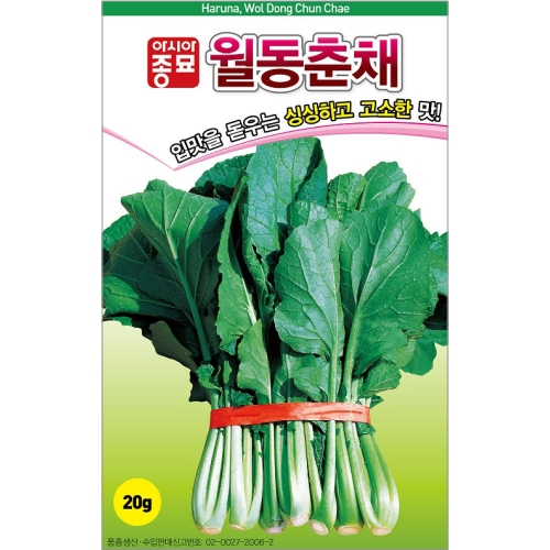 아시아종묘/배추씨앗종자 월동춘채 배추(20g,500g) <월동초>