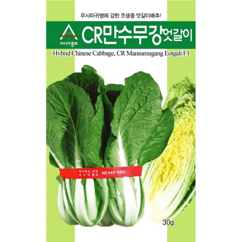 (배추씨앗종자) CR만수무강엇갈이(20g,500g)