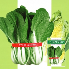 (배추씨앗종자) CR만수무강엇갈이(20g,500g)
