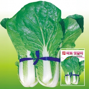 아시아종묘 배추씨앗 아시아미니 마트엇갈이(20g,500g)
