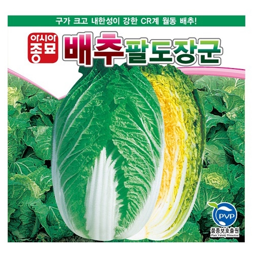 (배추씨앗종자) 팔도장군(2000립)