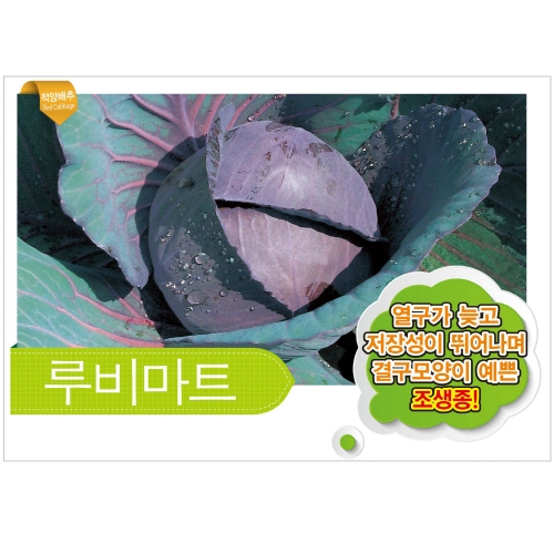 (양배추씨앗종자) 루비마트 양배추(2500립)