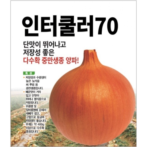 (양파씨앗종자) 인터쿨러70(100g)