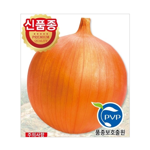 (양파씨앗종자) 오래오(100g)