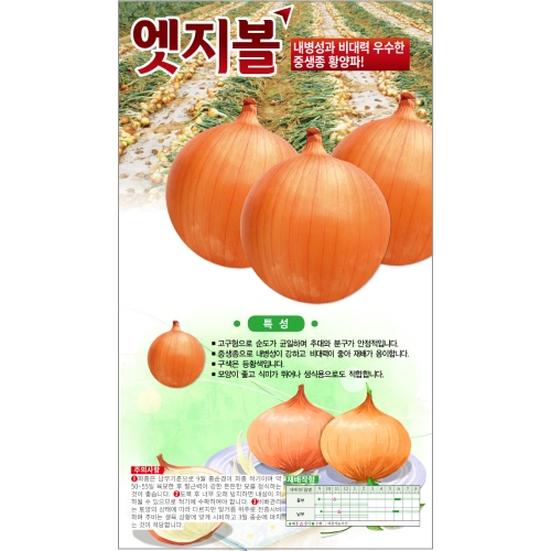 (양파씨앗종자) 엣지볼(100g)