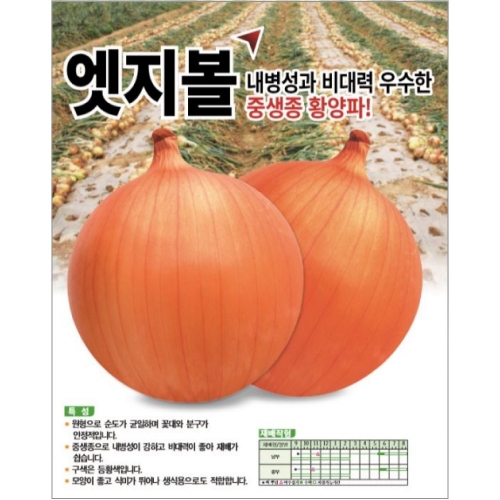 (양파씨앗종자) 엣지볼(100g)